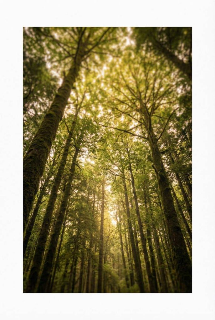 The Best Wall Art for Home Office Focus Your Complete Guide to Creating a Productive Workspace