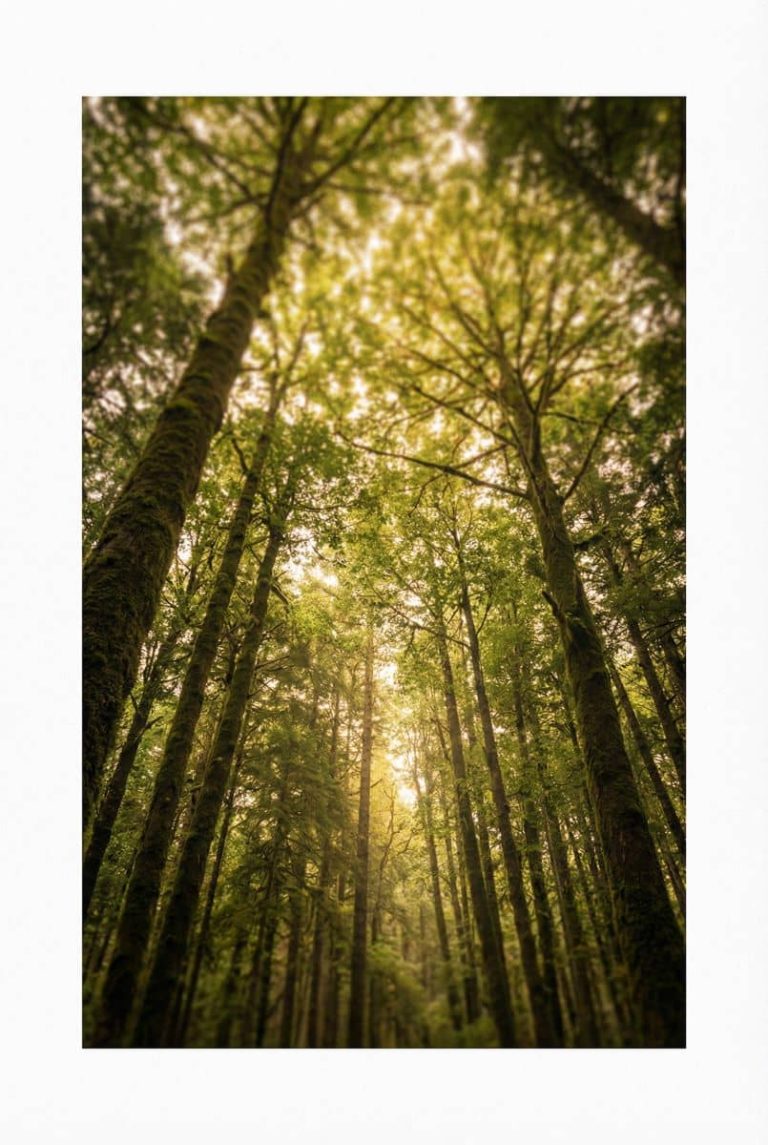 The Best Wall Art for Home Office Focus Your Complete Guide to Creating a Productive Workspace